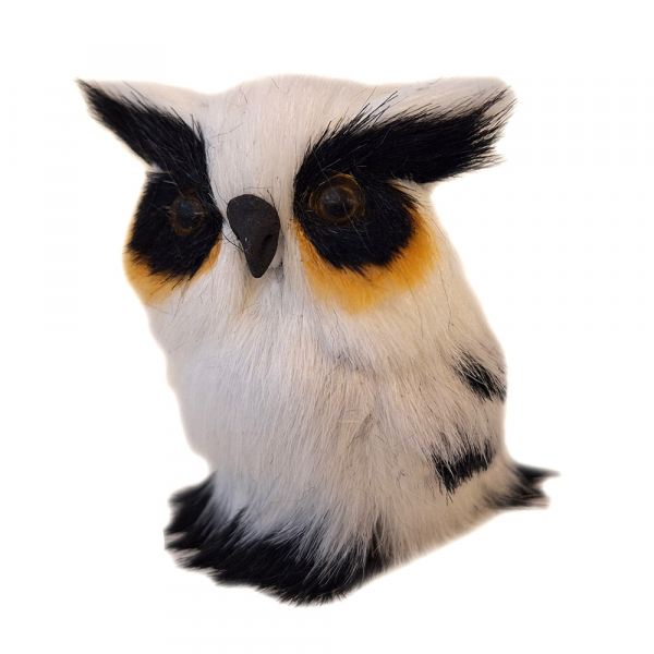 Schneeeule - Uhu